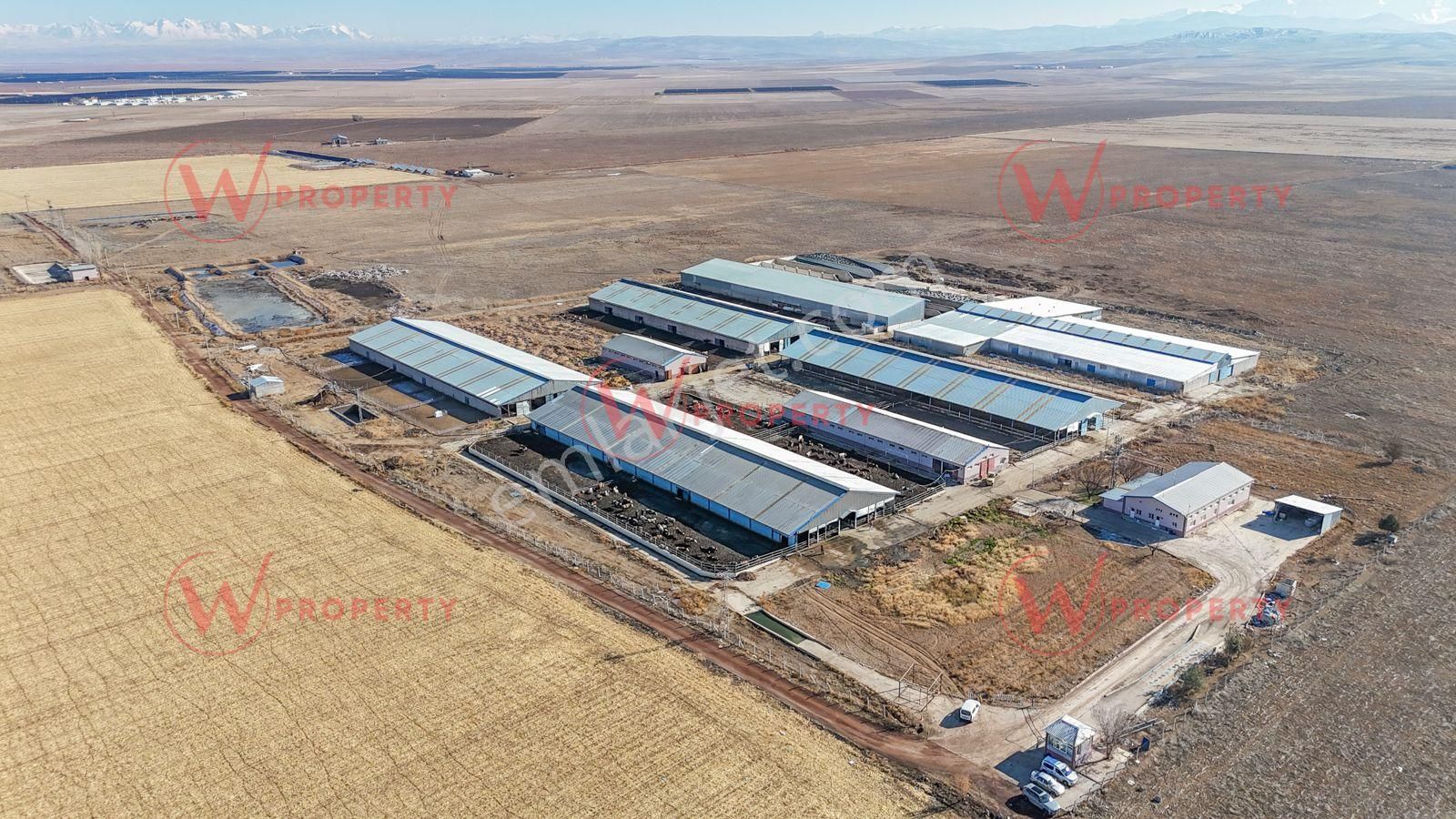 W Property Konya'da 935 Dönüm Arazi 21 Dönüm Besi Süt Çiftliği - Görsel 4