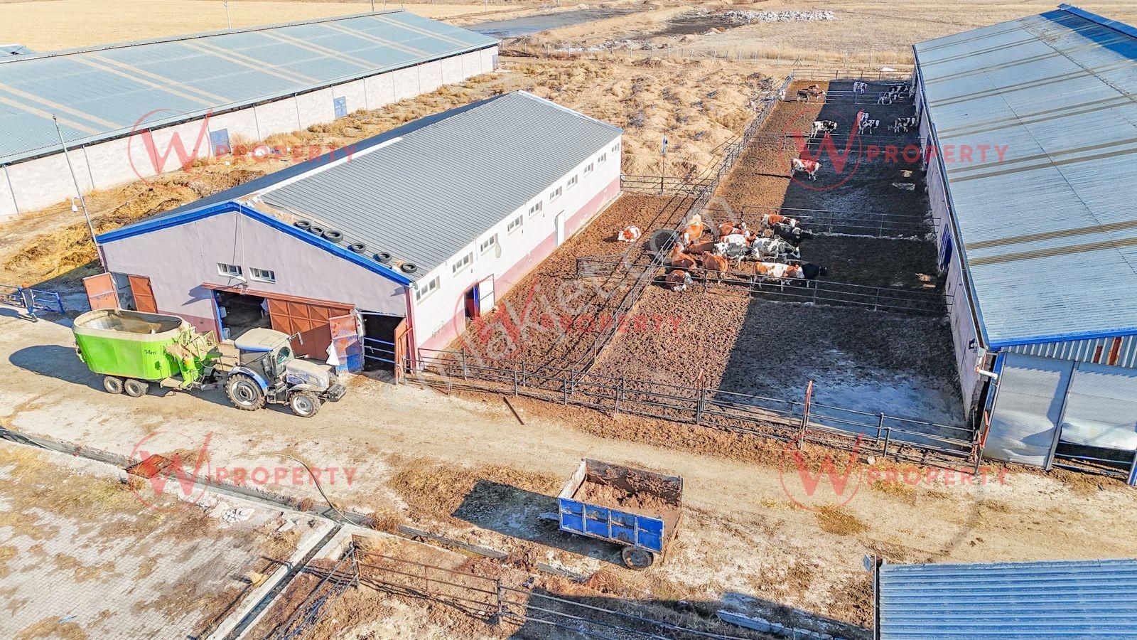 W Property Konya'da 935 Dönüm Arazi 21 Dönüm Besi Süt Çiftliği - Görsel 16