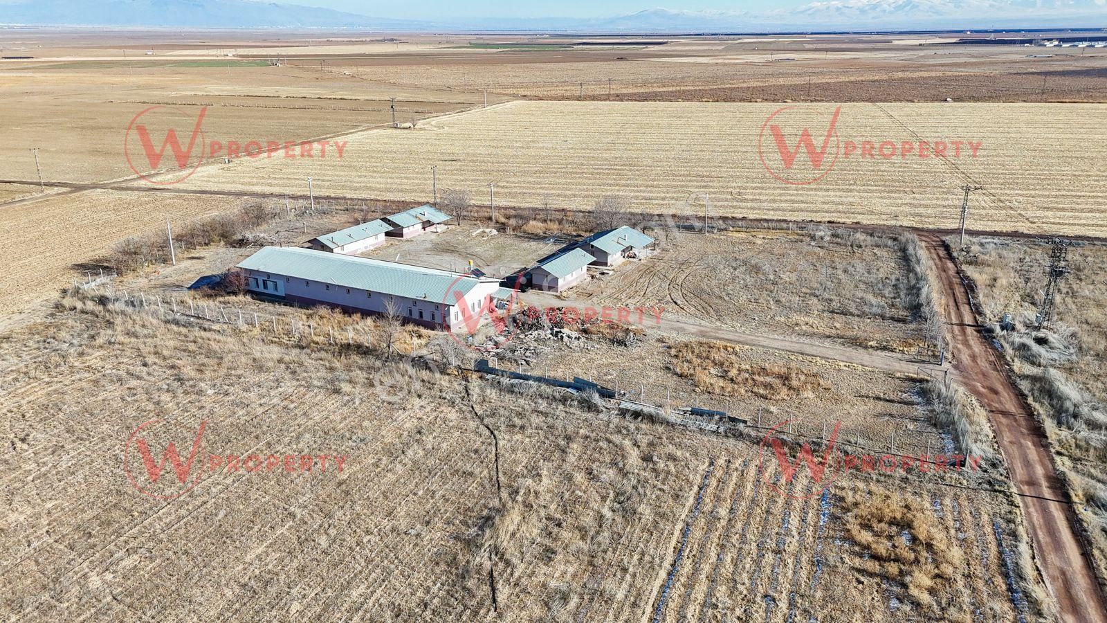 W Property Konya'da 935 Dönüm Arazi 21 Dönüm Besi Süt Çiftliği - Görsel 30