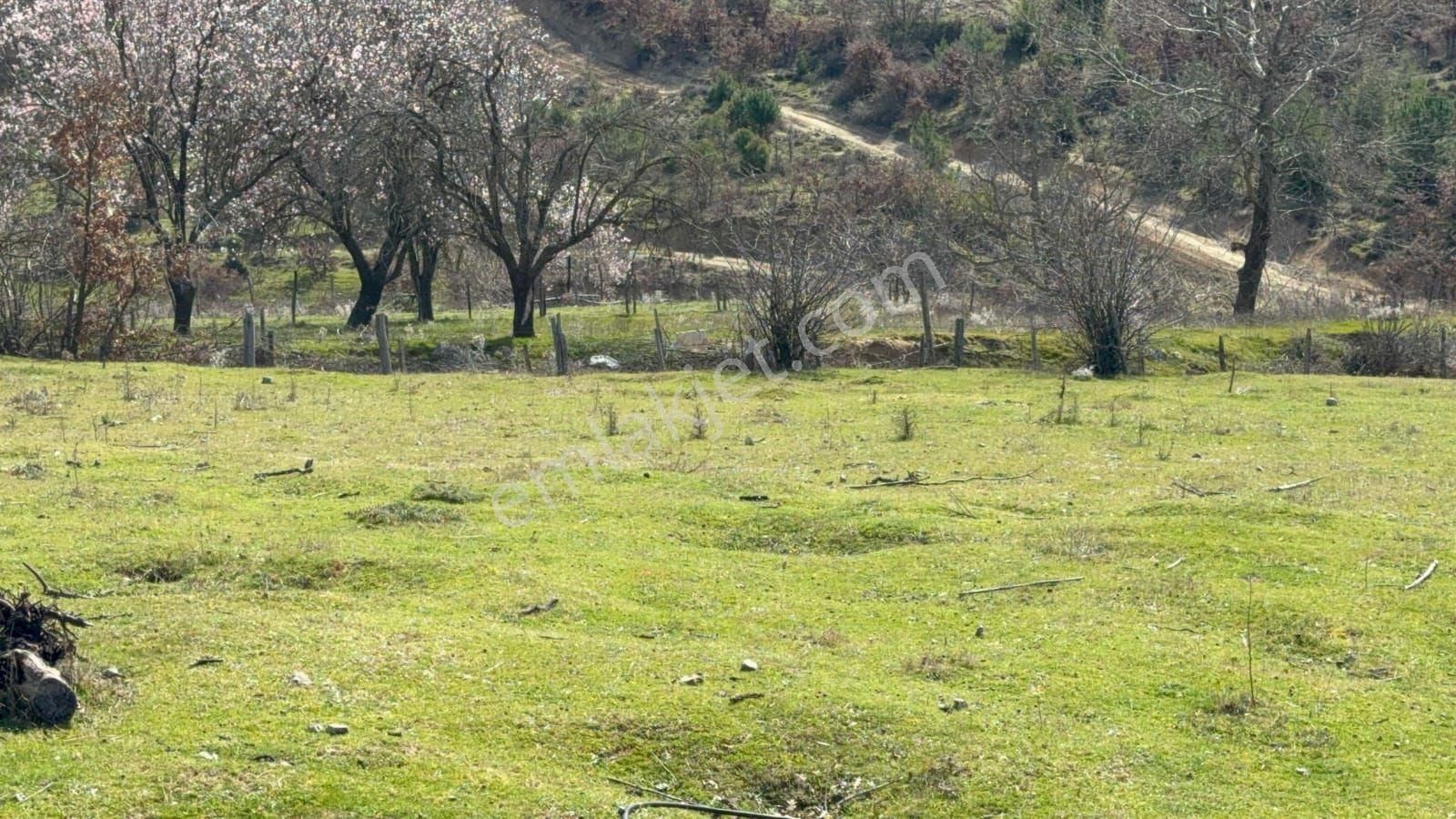 Tiyap Ticari' Den Bayramiç / Çavuşlu Köyü Baraj Manzaralı Arsa - Görsel 7
