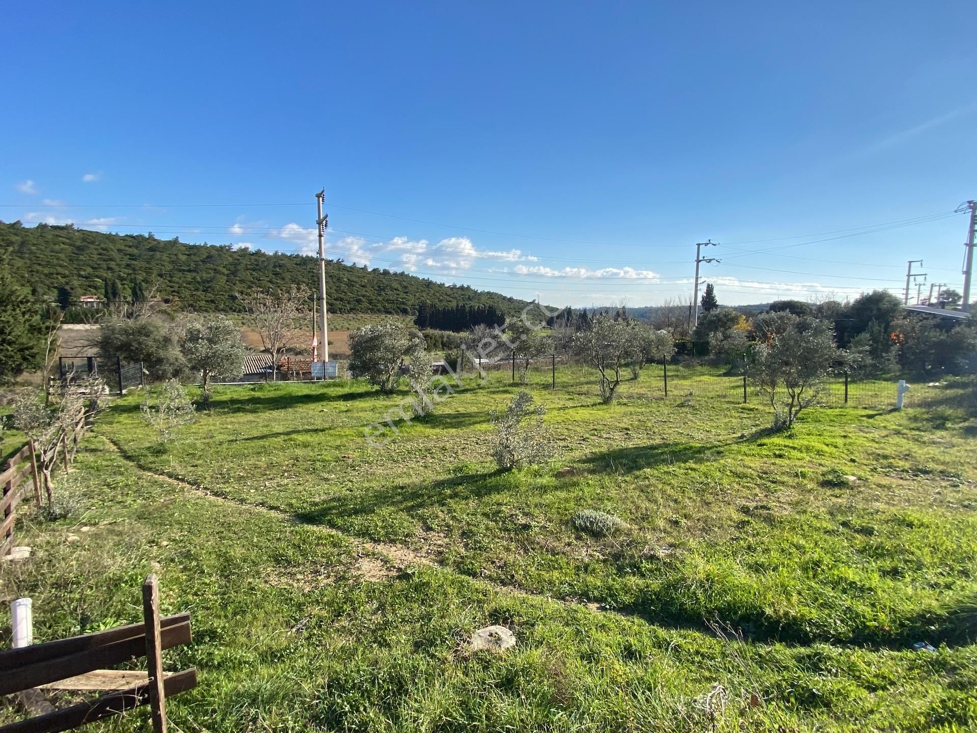 Urla Ovacık’ta Asfalt Yola Cephe Satılık Bahçe - Görsel 4