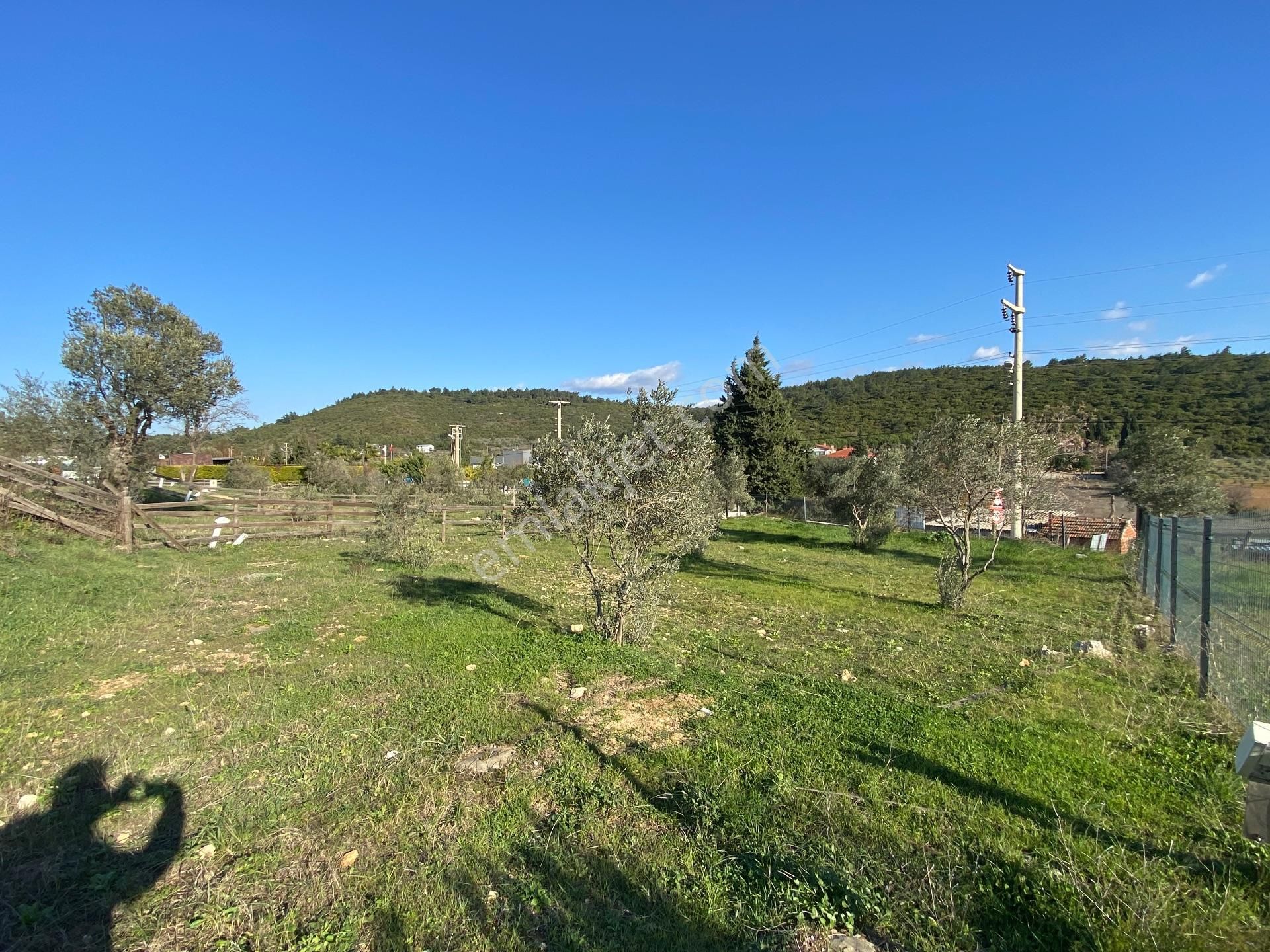 Urla Ovacık’ta Asfalt Yola Cephe Satılık Bahçe - Görsel 7
