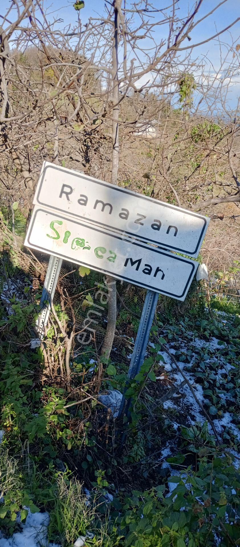 Perşembe Ramazan Mahallesinde Satılık İmarlı Bahçe - Görsel 9
