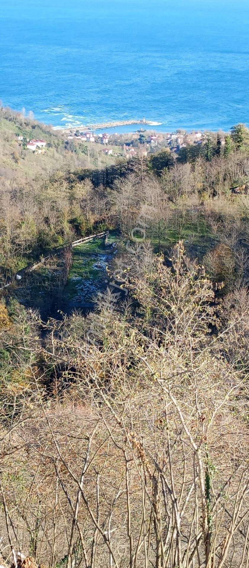 Perşembe Ramazan Mahallesinde Satılık İmarlı Bahçe - Görsel 5