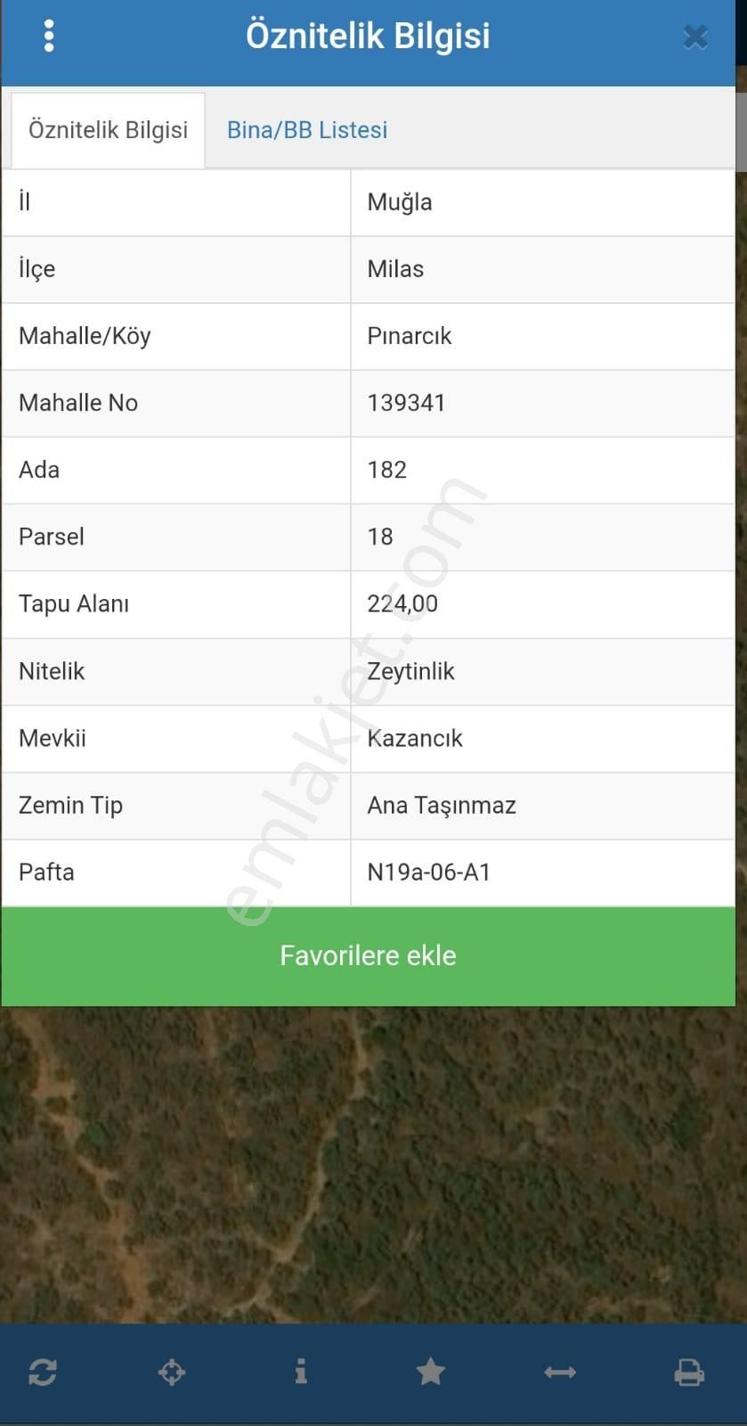 Muğla Milas Pınarcıkta 224 M2 Zeytinlik - Görsel 2