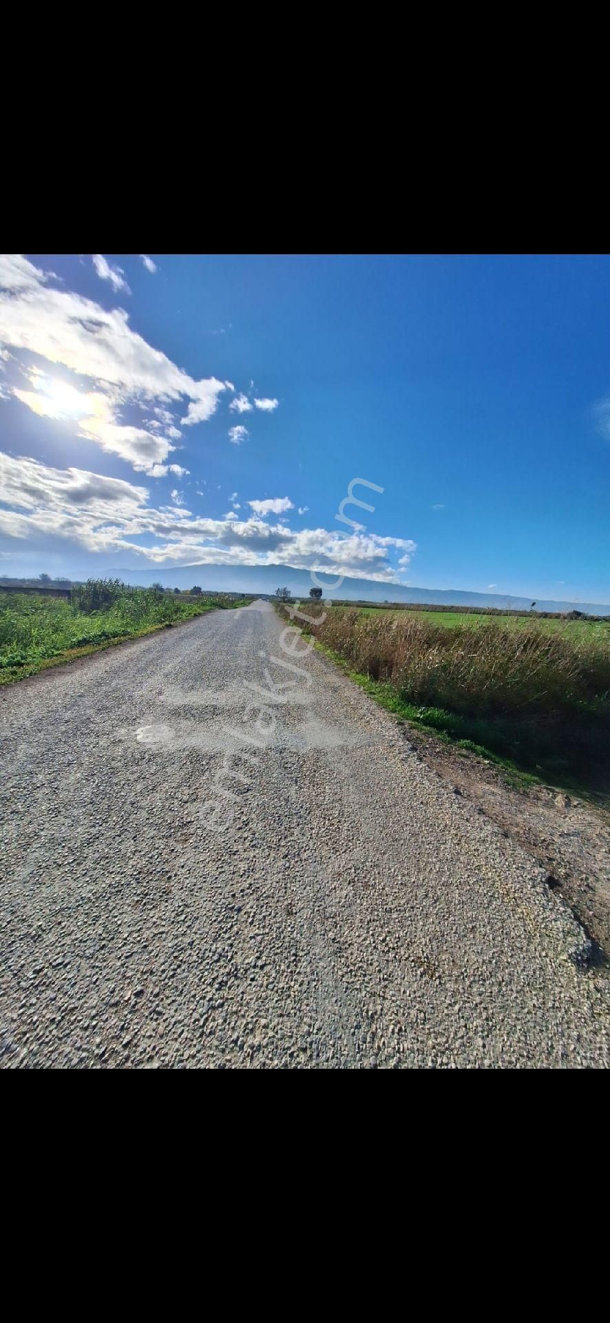 Asfalt A Yakın - Görsel 16