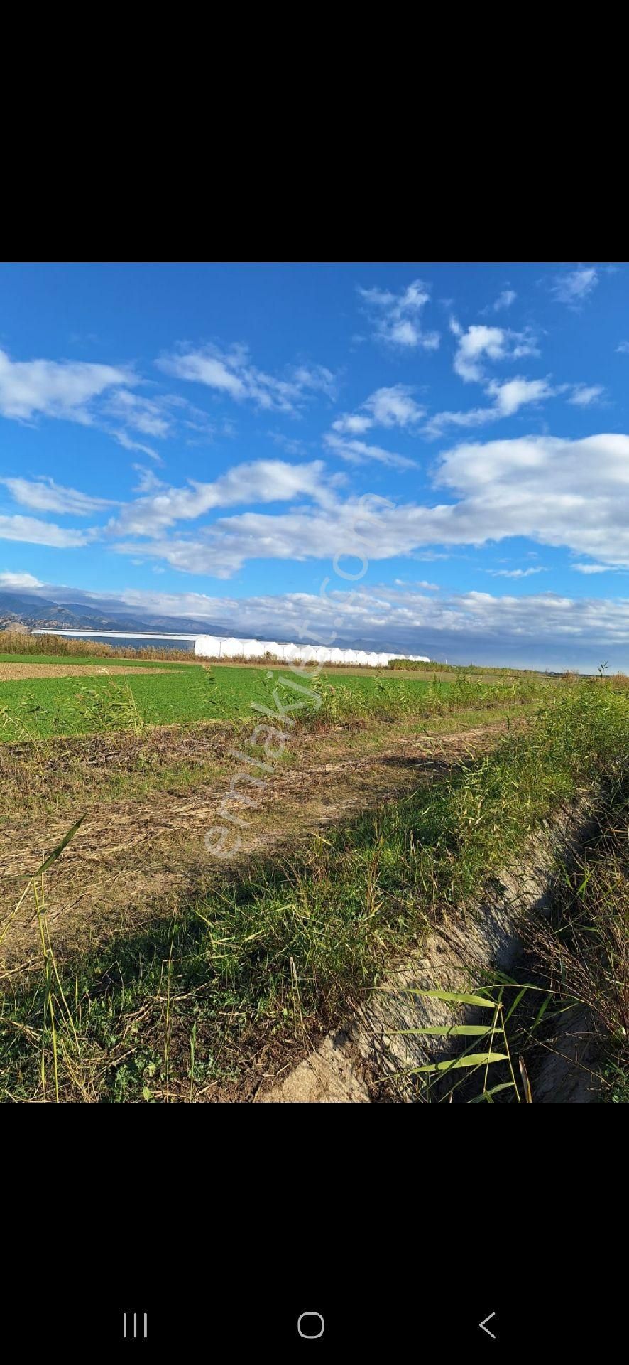 Asfalt A Yakın - Görsel 4