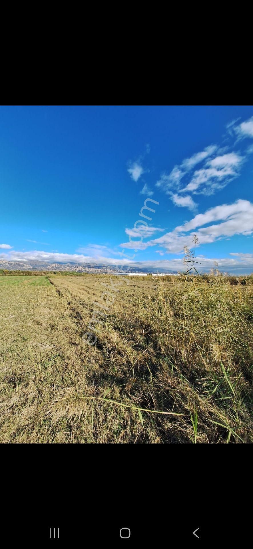 Asfalt A Yakın - Görsel 9