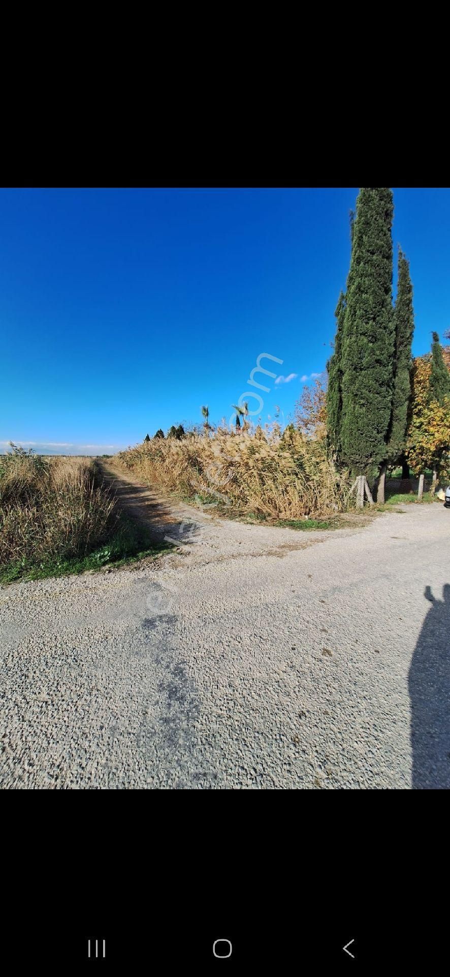 Asfalt A Yakın - Görsel 15