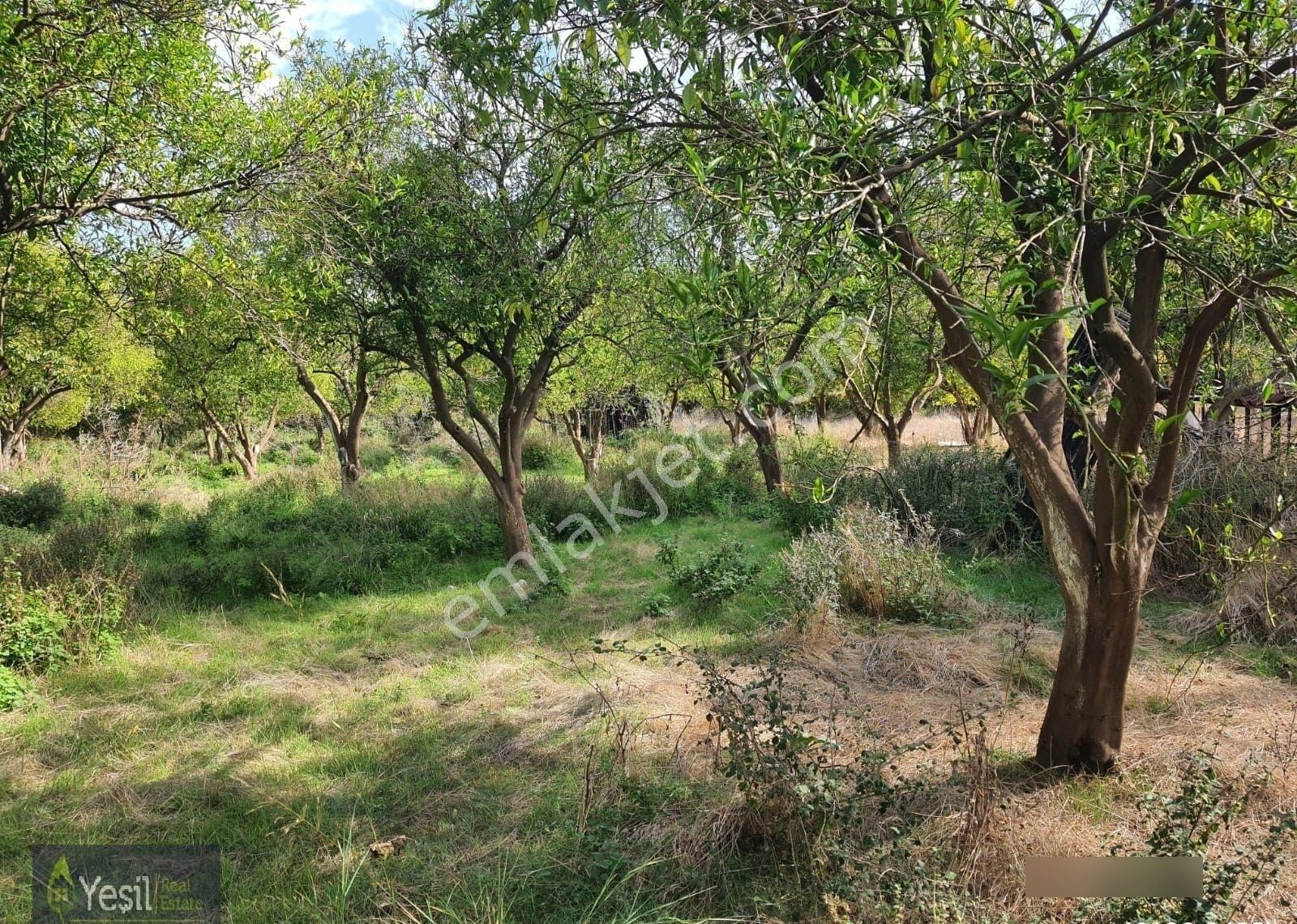 Kuzdere'de İçinde 2+1 Eşyalı Dairesi Olan 2147 M2 Satılık Tarla - Görsel 14