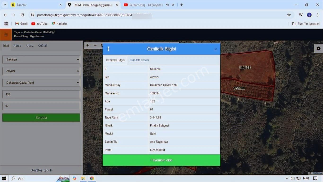 Akyazı Dokurcunda Kelepir Yol Kenari Verimli Satılık Fındıklık - Görsel 5