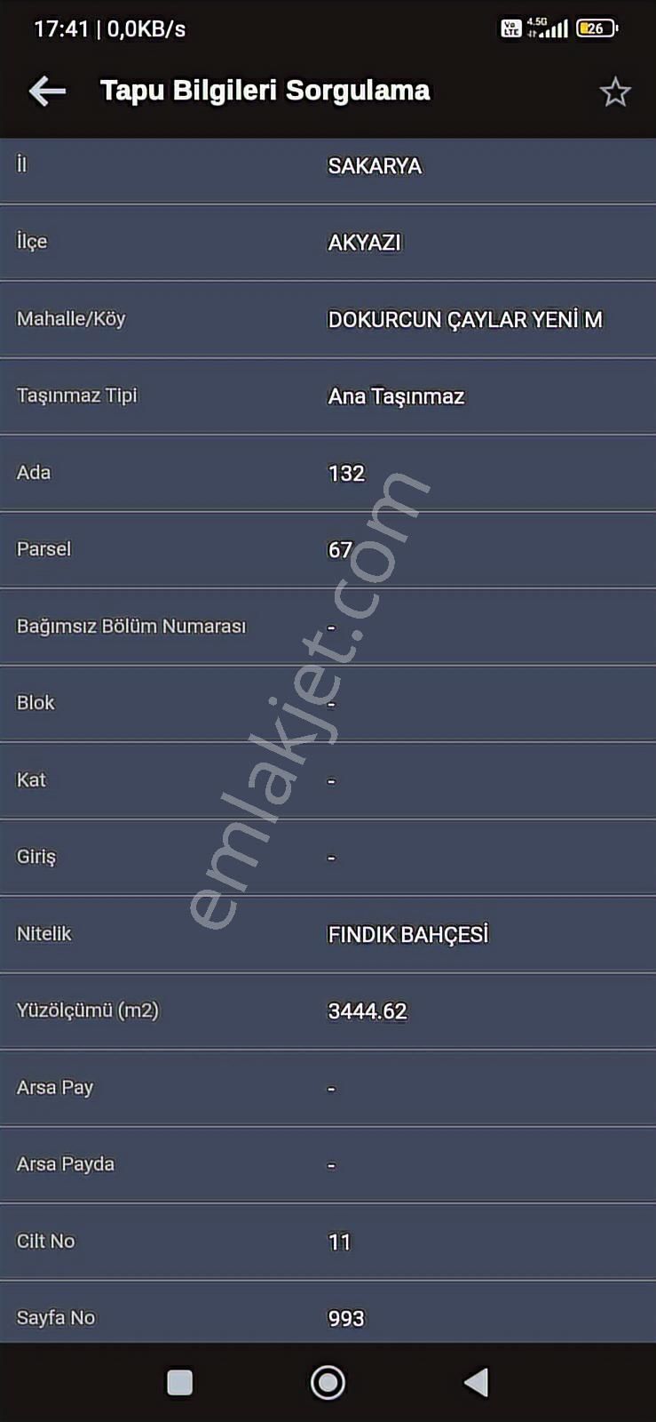 Akyazı Dokurcunda Kelepir Yol Kenari Verimli Satılık Fındıklık - Görsel 4