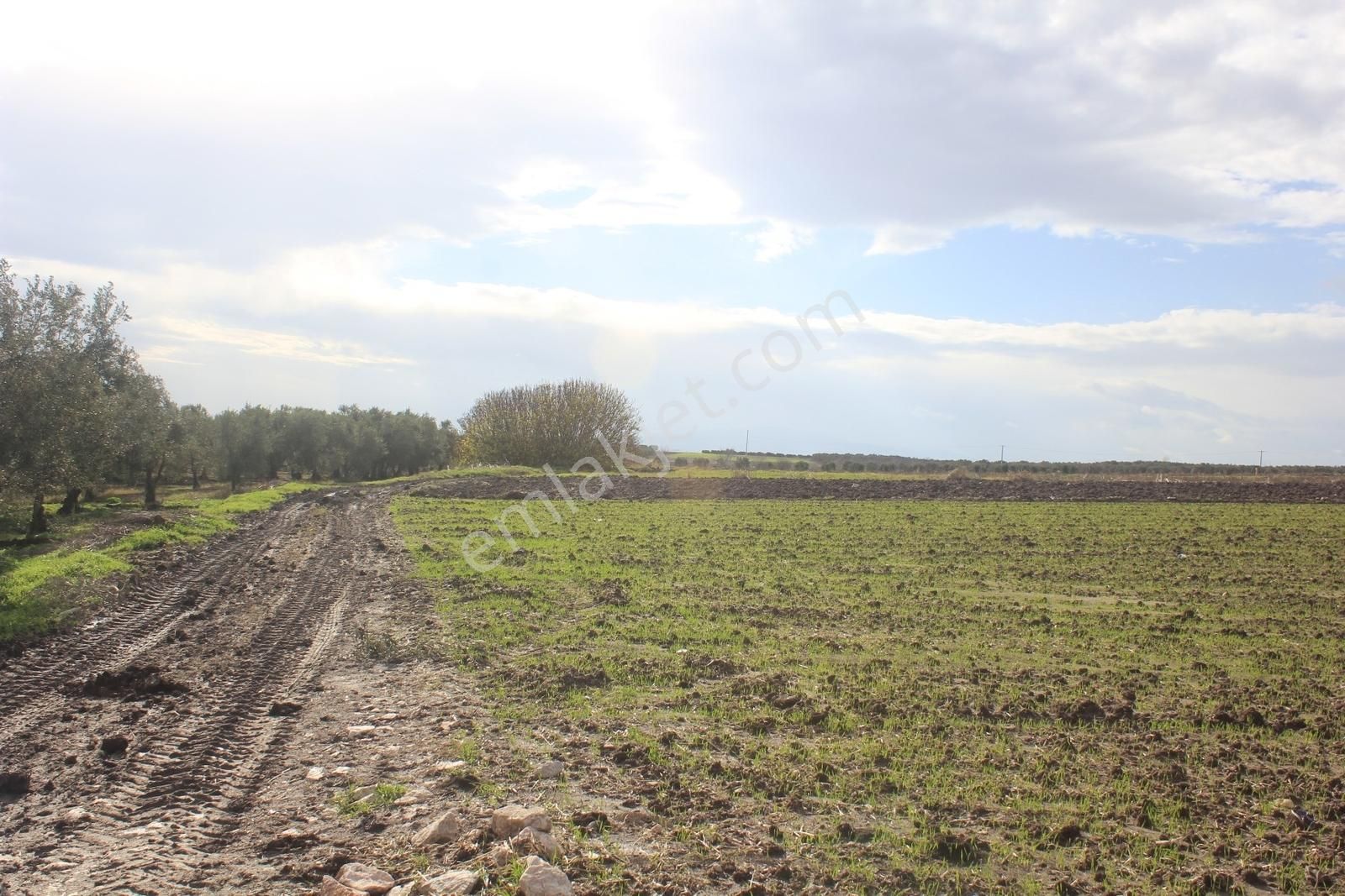 Bursa Karacabey Tophisar Yatırımlık 2650m2 Tarla - Görsel 4