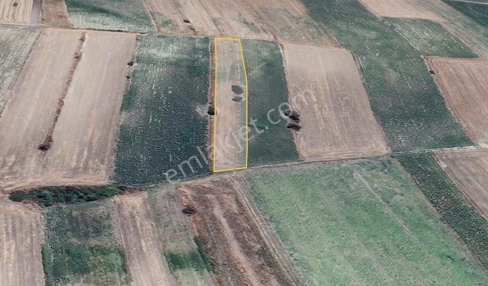 Bursa Karacabey Tophisar Yatırımlık 2650m2 Tarla - Görsel 2