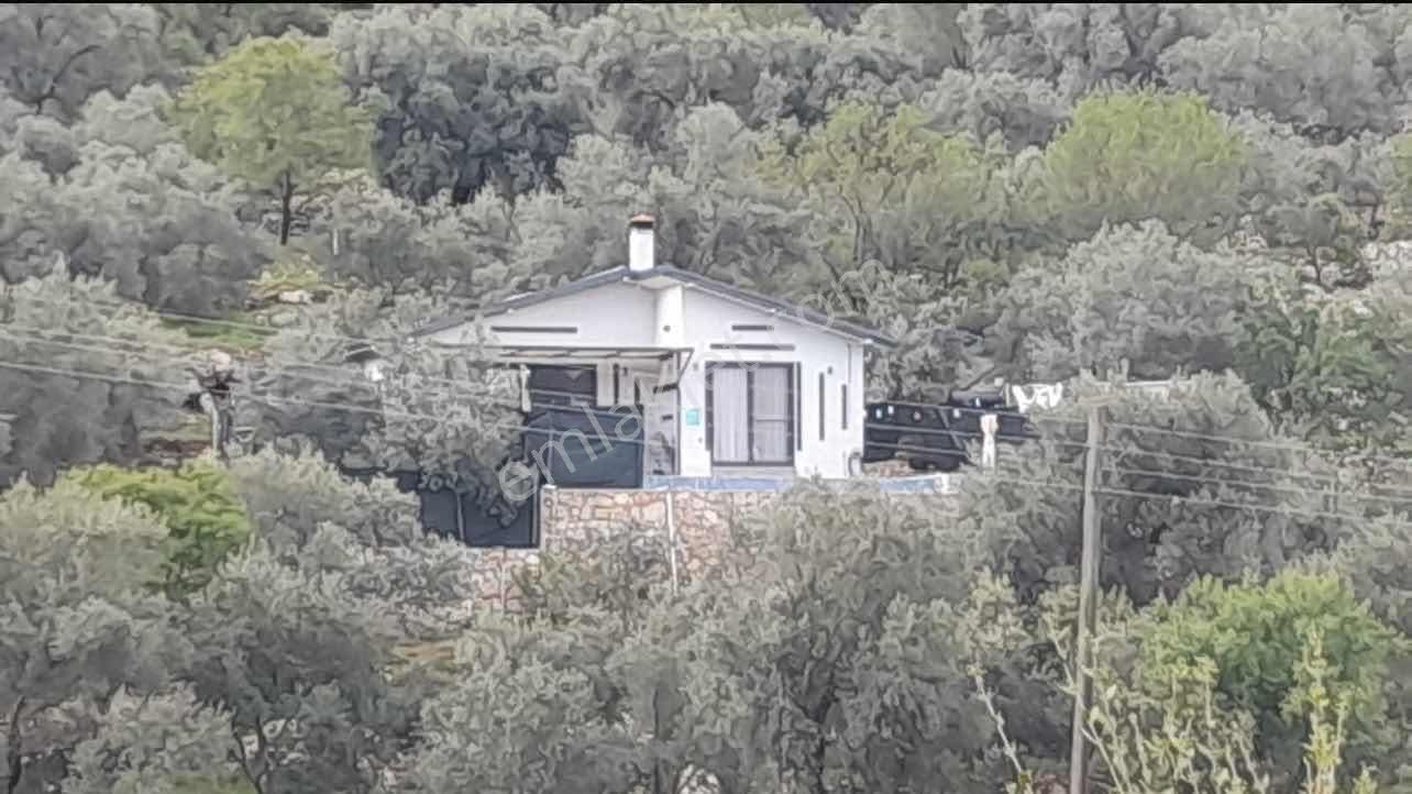 Sahil Koru' Da Eşyalı Kiralık Müstakil Villa - Görsel 22