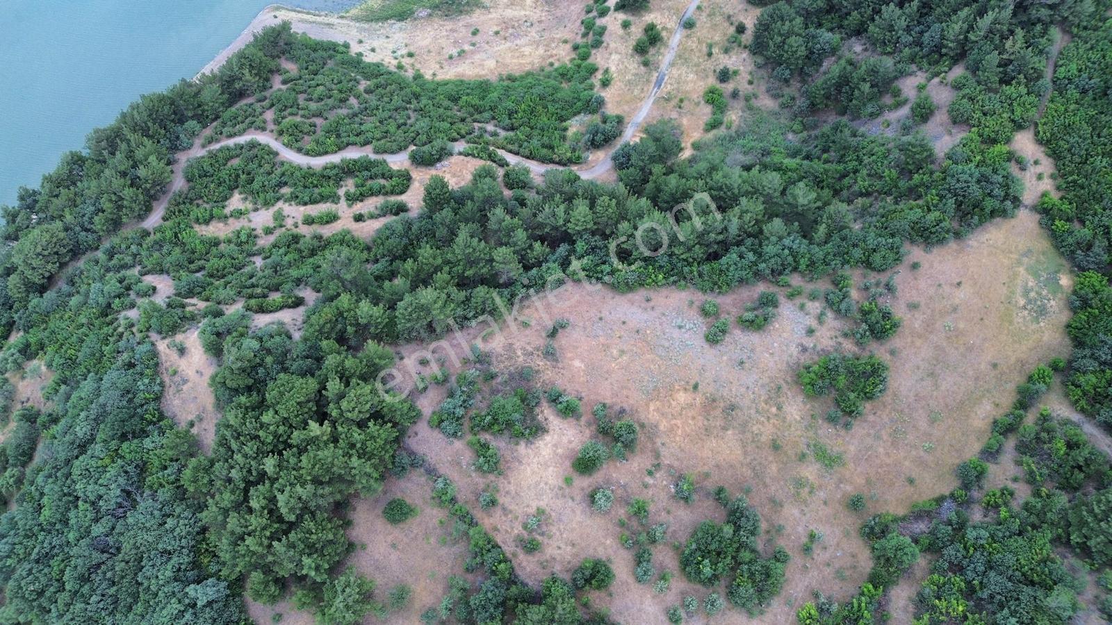Manisa Soma Karacahisar 10.344 M2 Tarla - Görsel 8