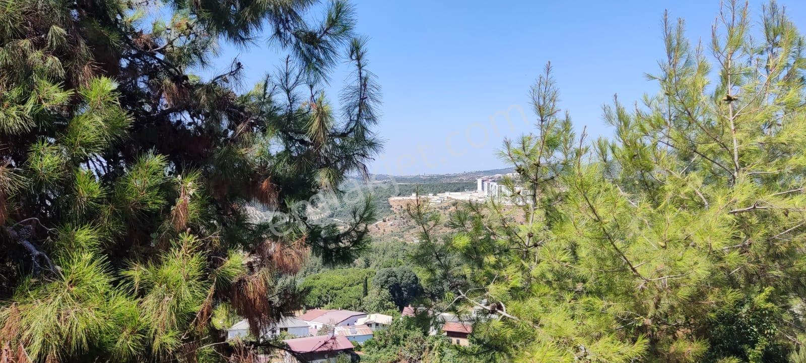 Söke Ağaçlı’da Panoramık Denız Manzaralı, Vılla İmarlı Arsa - Görsel 2