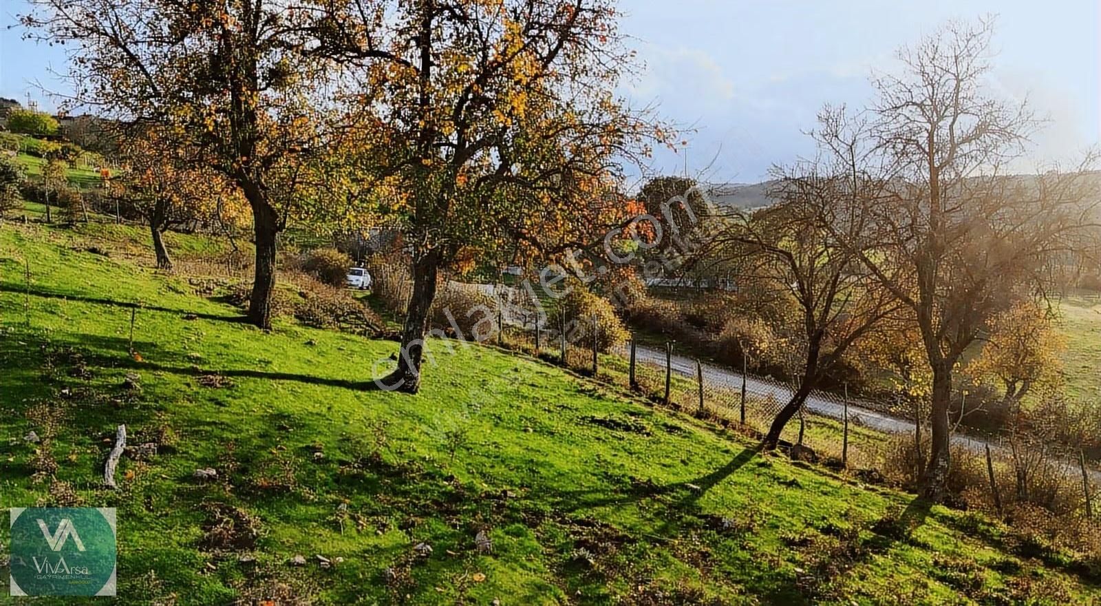 Akçalıda 1.875 M² Arazi Asfalta Cephe, İmara 100mt!! - Görsel 2