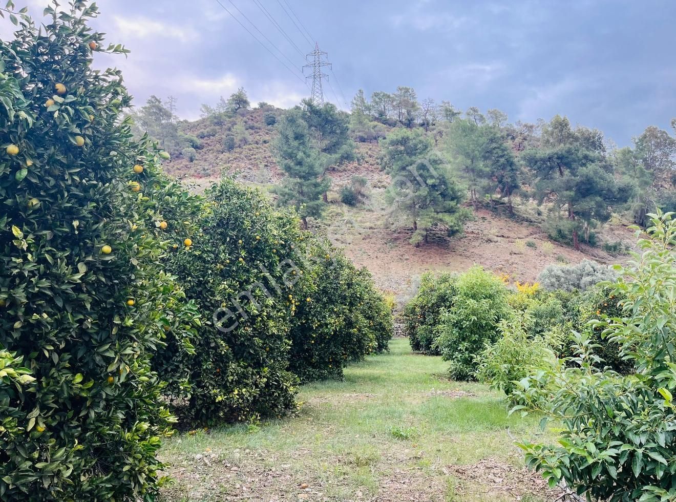 Fethiye Yanıklarda Satılık Arazi Ve İki Adet Ev - Görsel 7