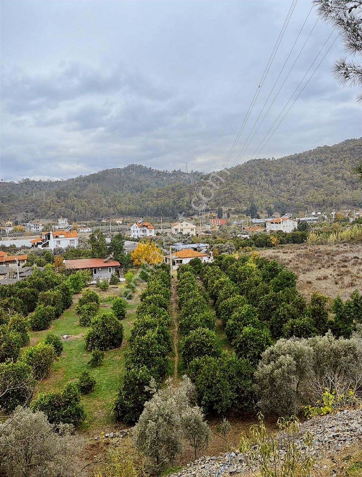 Fethiye Yanıklarda Satılık Arazi Ve İki Adet Ev - Görsel 5