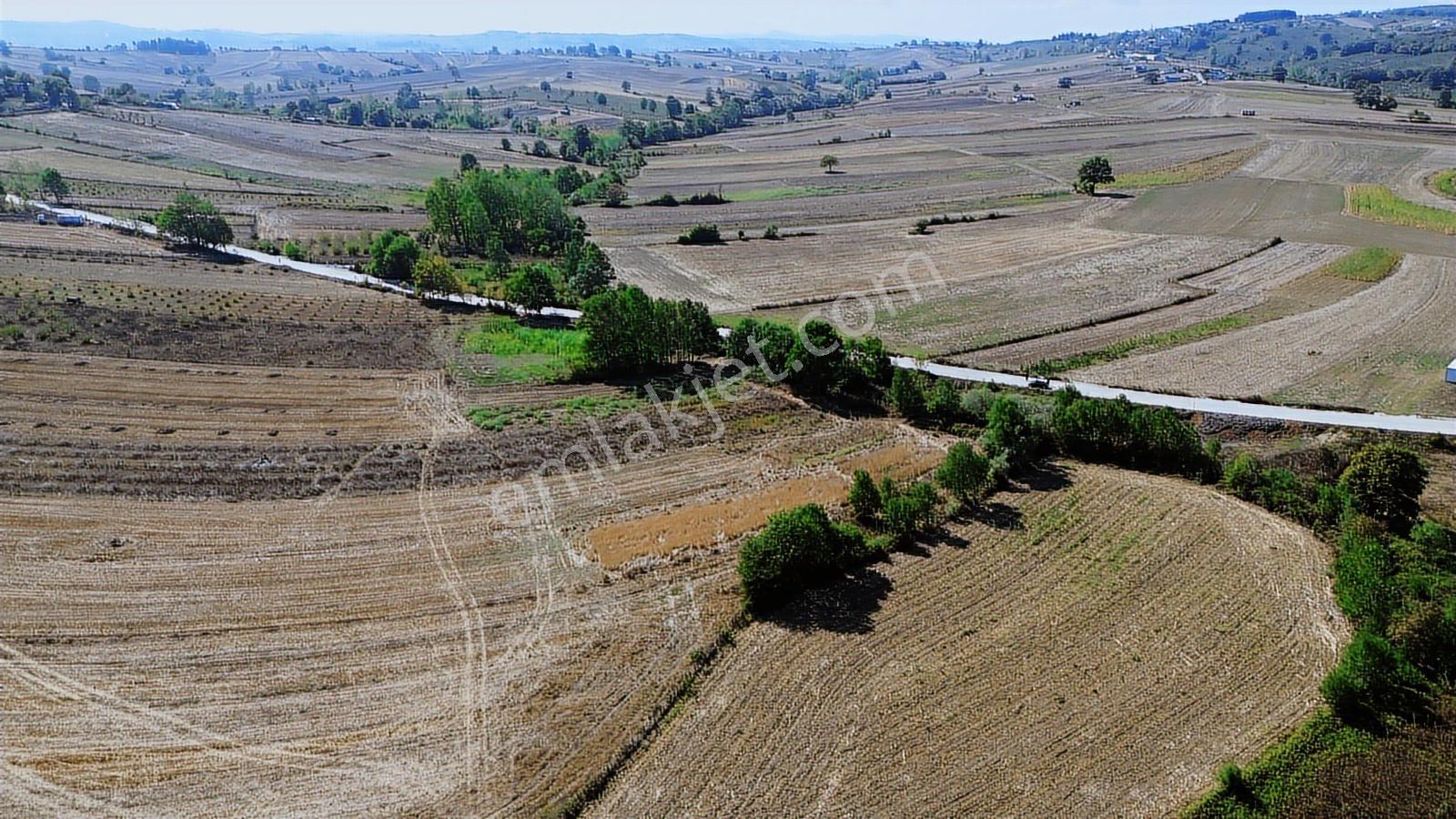 Karadivan Asfalt Yola Yakın En Uygun Fiyata - Görsel 4