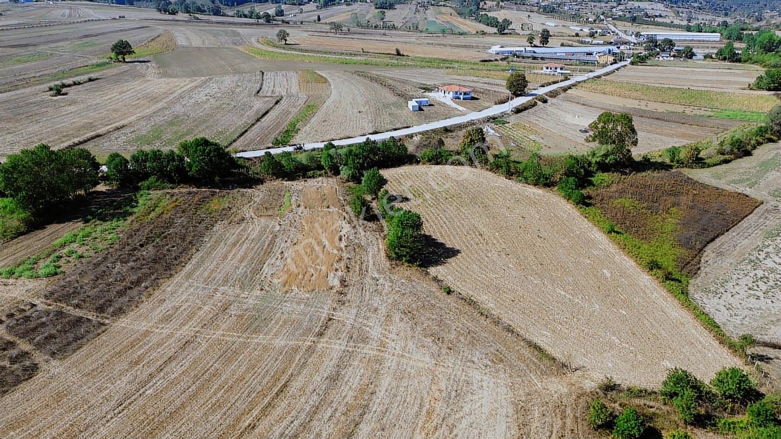 Karadivan Asfalt Yola Yakın En Uygun Fiyata - Görsel 15