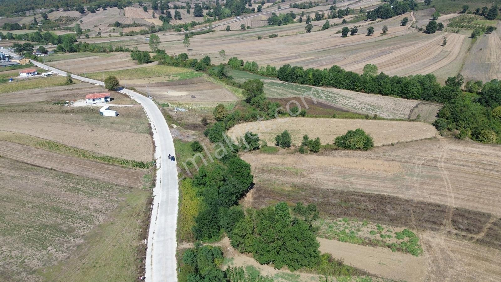 Karadivan Asfalt Yola Yakın En Uygun Fiyata - Görsel 30