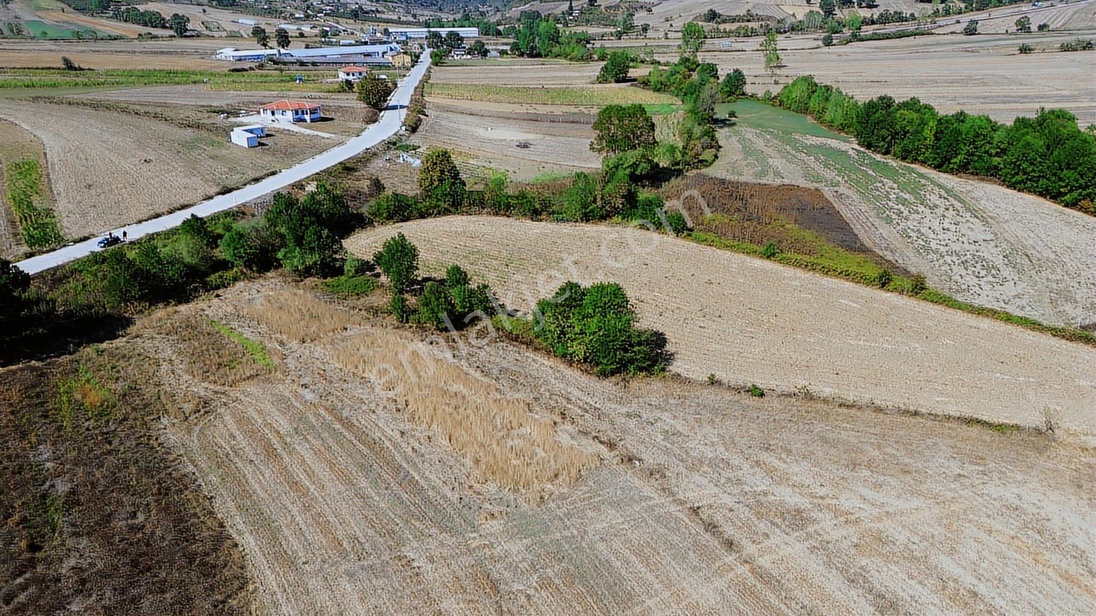 Karadivan Asfalt Yola Yakın En Uygun Fiyata - Görsel 14