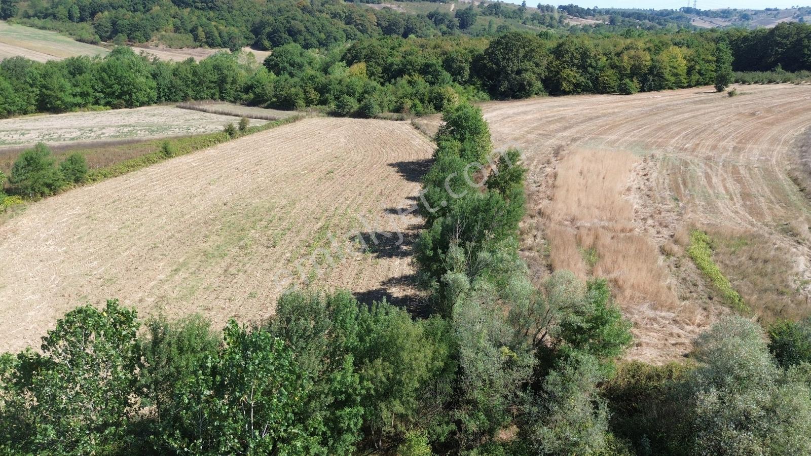 Karadivan Asfalt Yola Yakın En Uygun Fiyata - Görsel 12