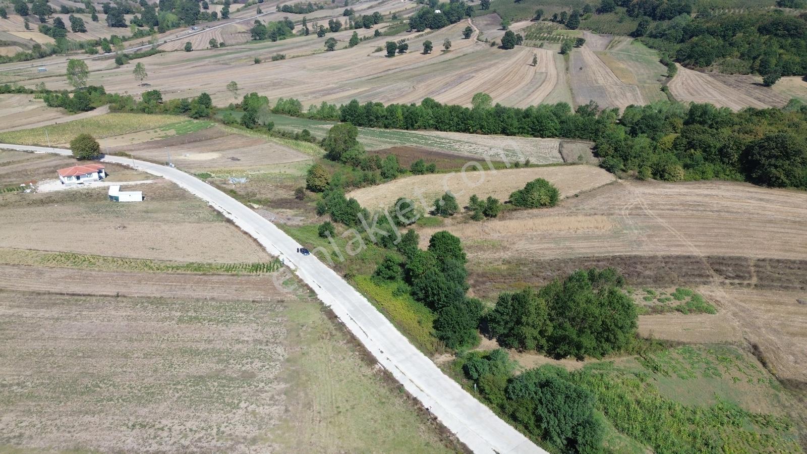 Karadivan Asfalt Yola Yakın En Uygun Fiyata - Görsel 8