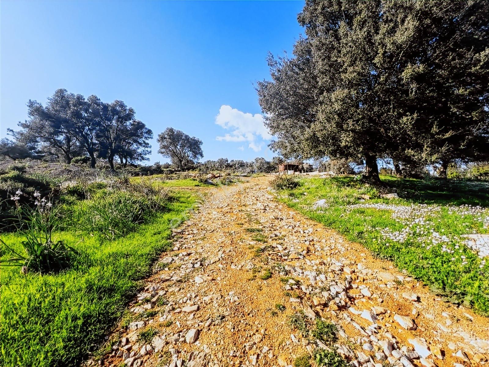 İndirim! Bodrum Kızılağaç'ta İyi Konum Yaşam Bahçesi - Görsel 7
