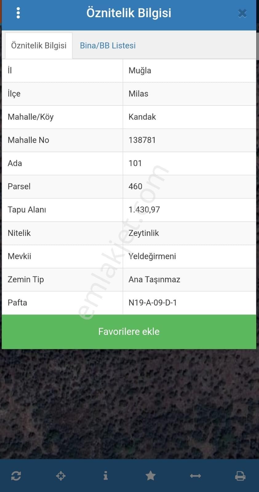 Muğla Milas Kandak'ta 1430 M2 Zeytinlik - Görsel 2