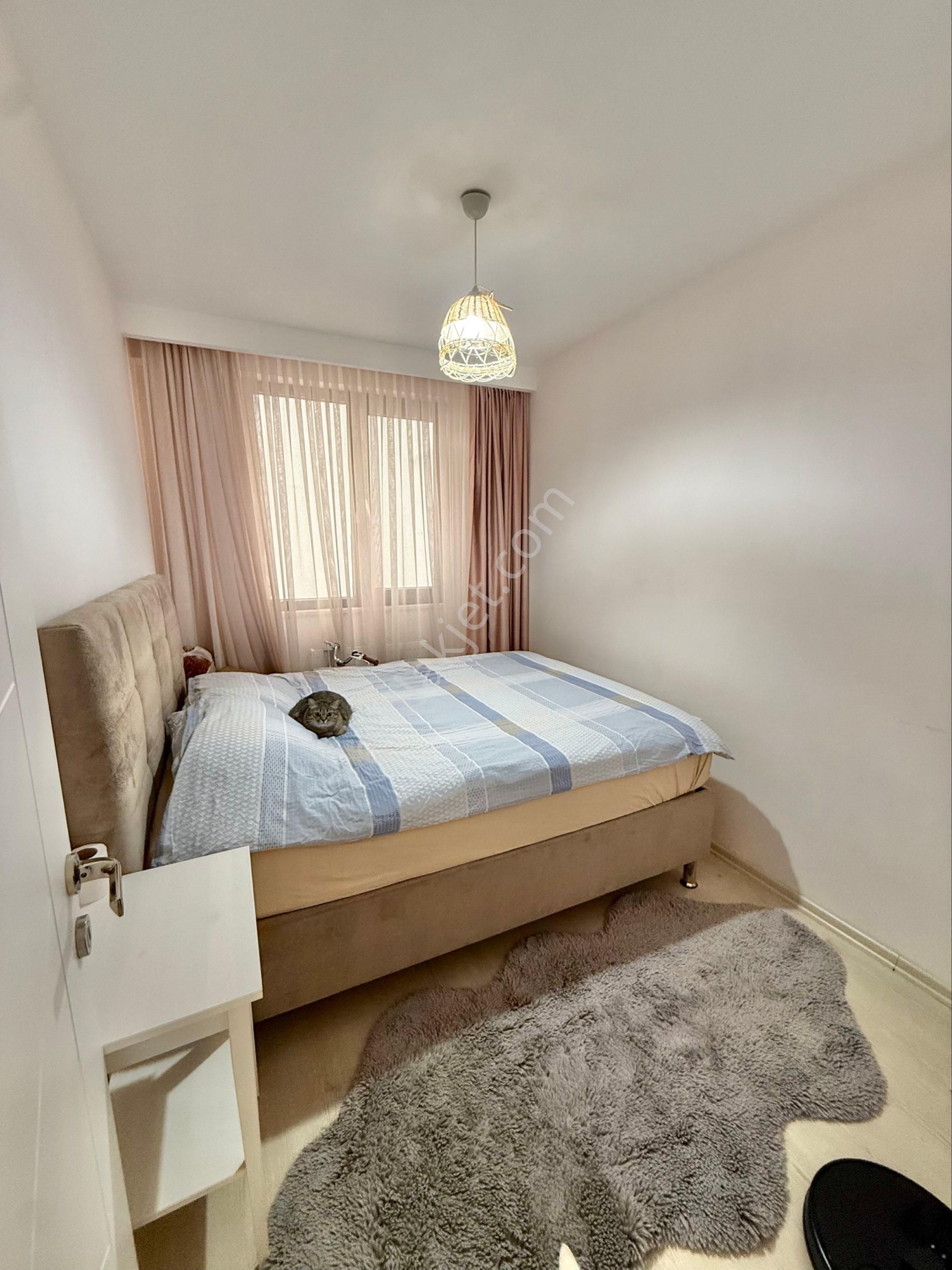 Vb Gayrimenkul Çalı Merkez'de Satılık 3+1 Bakımlı, Fırsat Daire - Görsel 8