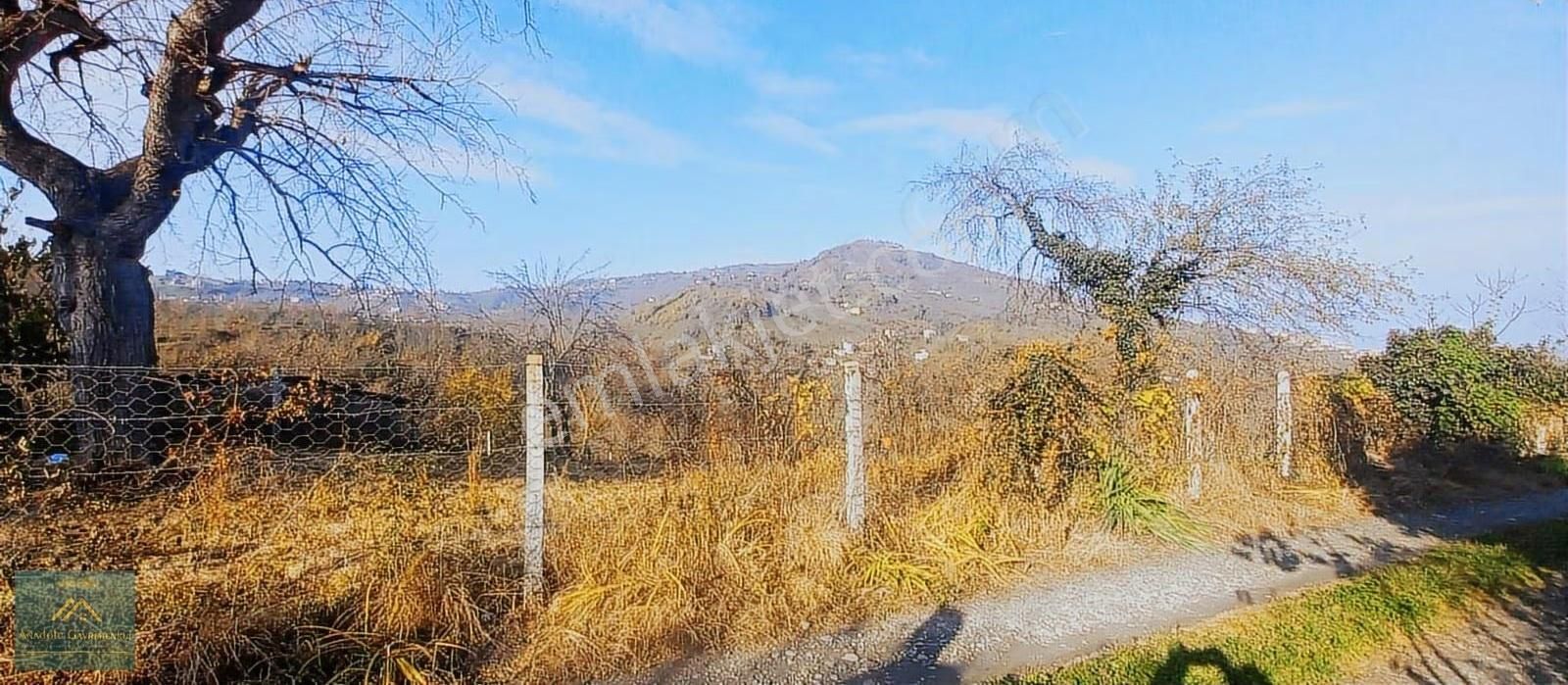 Anadolu Gm'den Öceli'de 1527 M² Manzaralı Satılık Bahçe - Görsel 6