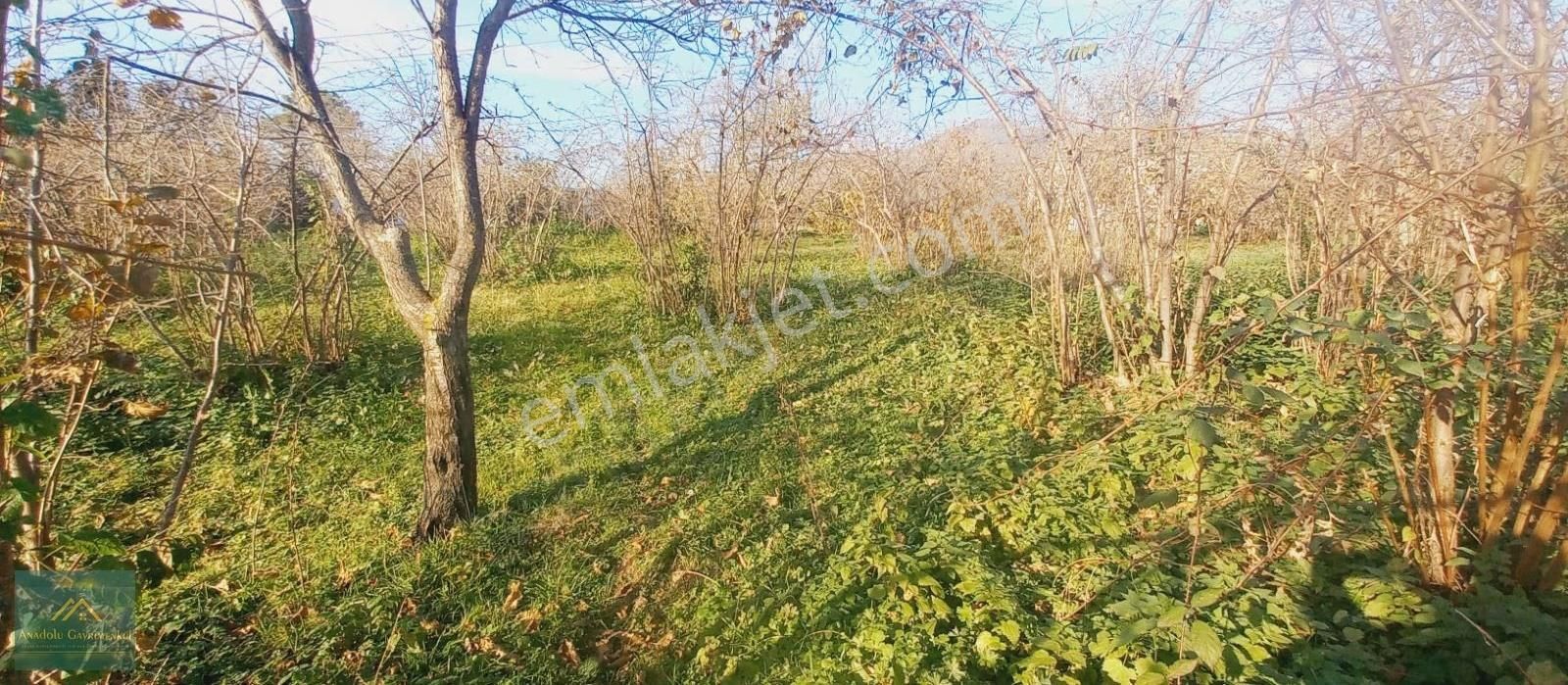 Anadolu Gm'den Öceli'de 1527 M² Manzaralı Satılık Bahçe - Görsel 7