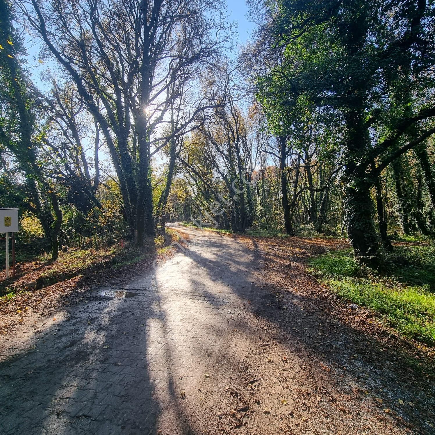 Rota'dan Toparlar'da 3597m2 Acil Satılık Kelepir Tarla - Görsel 5