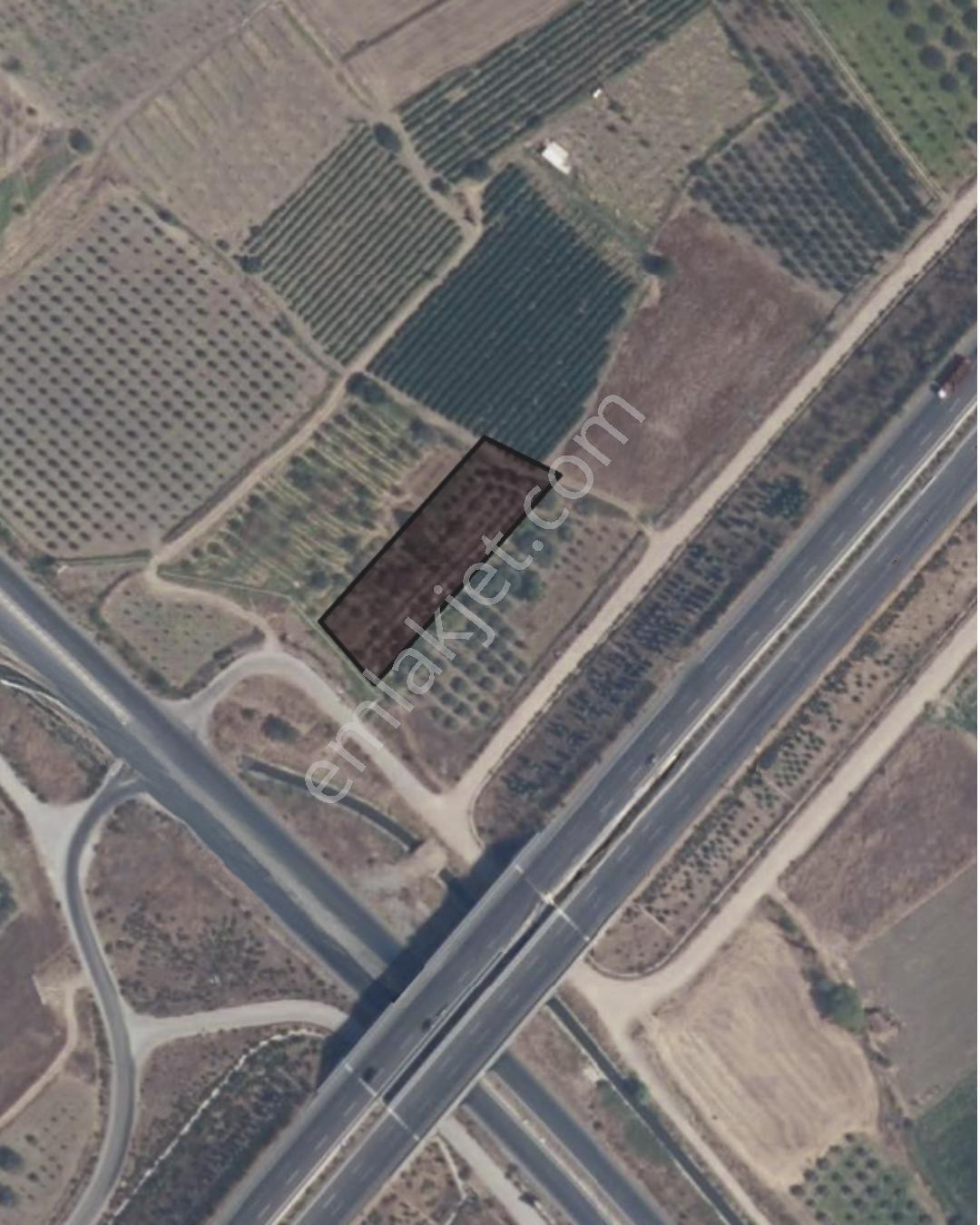 Manisa / Şehzadeler - Karaoğlanlı'da Ana Yola Cepheli 2.300 M² Satılık Arsa - Görsel 3