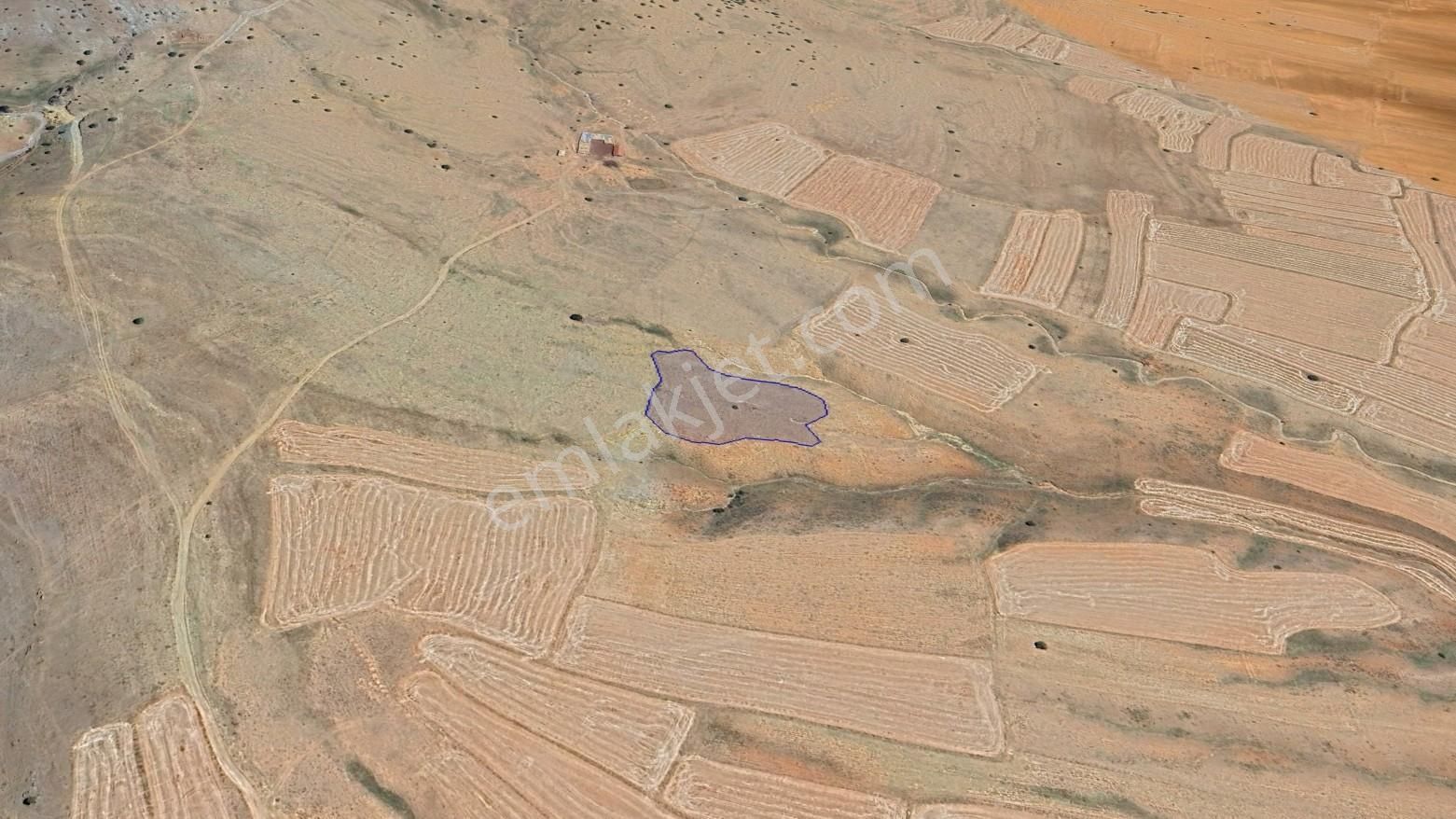 Afyon Bolvadin Kurucuova'da Yola Tek Parsel Fırsat Arazi!!! - Görsel 17