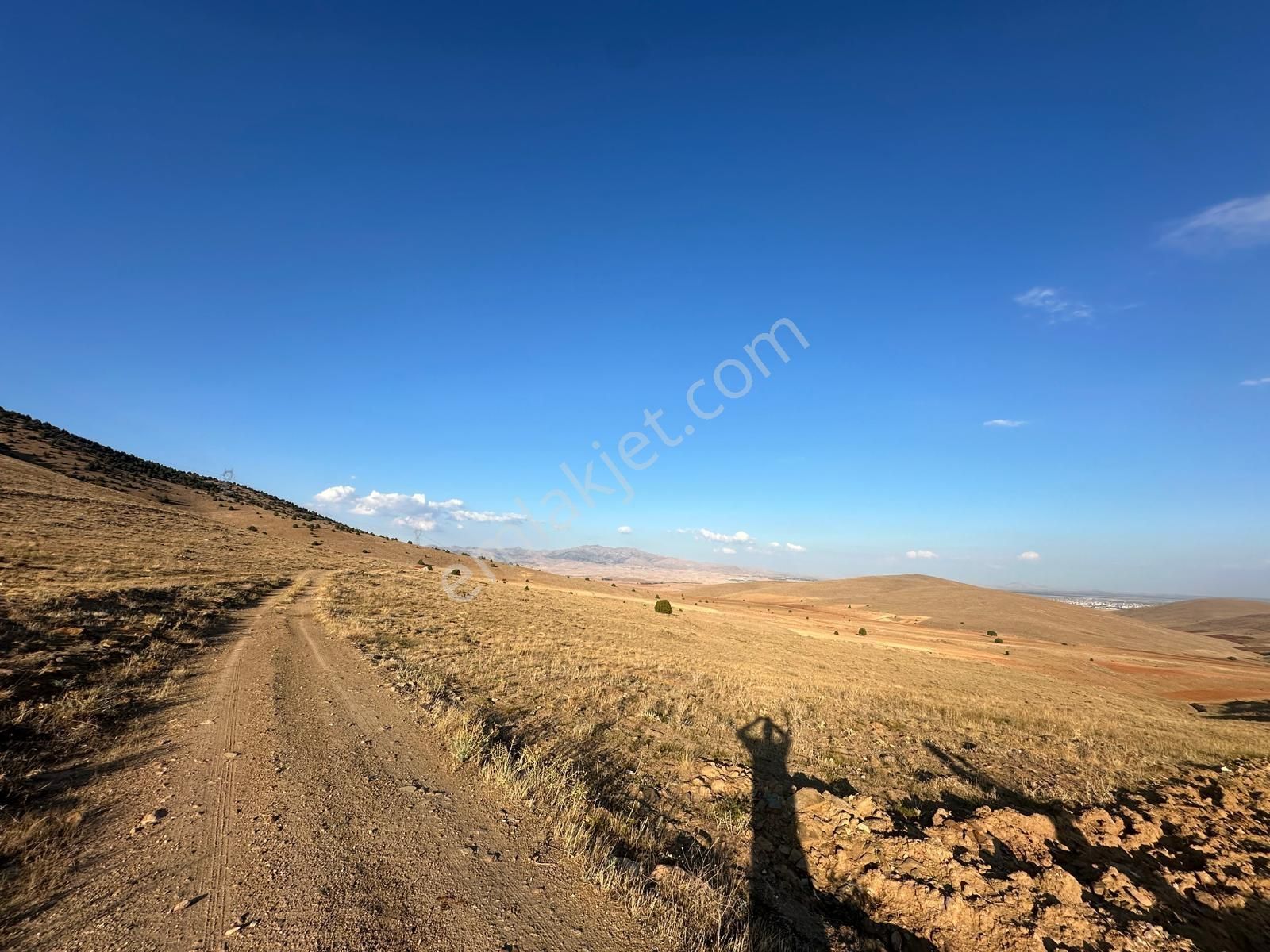 Afyon Bolvadin Kurucuova'da Yola Tek Parsel Fırsat Arazi!!! - Görsel 8