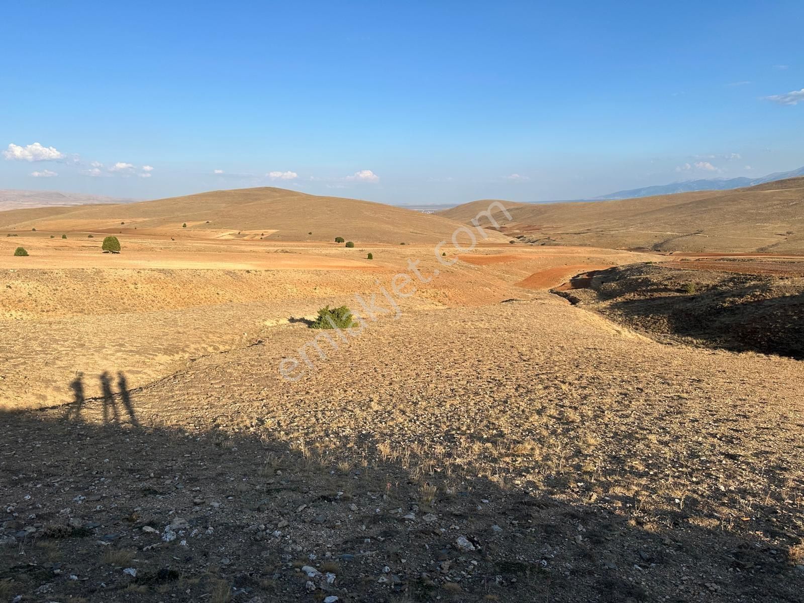Afyon Bolvadin Kurucuova'da Yola Tek Parsel Fırsat Arazi!!! - Görsel 9
