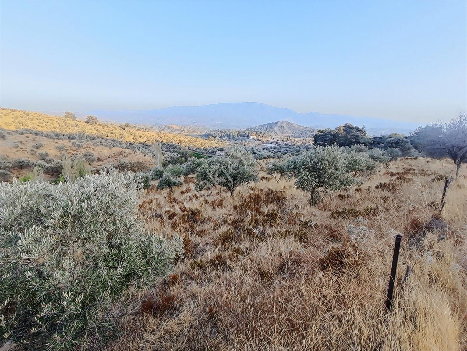 Çamlık'ta İmarın Dibinde Köy Merkezine Yakın Satılık Tarla - Görsel 13