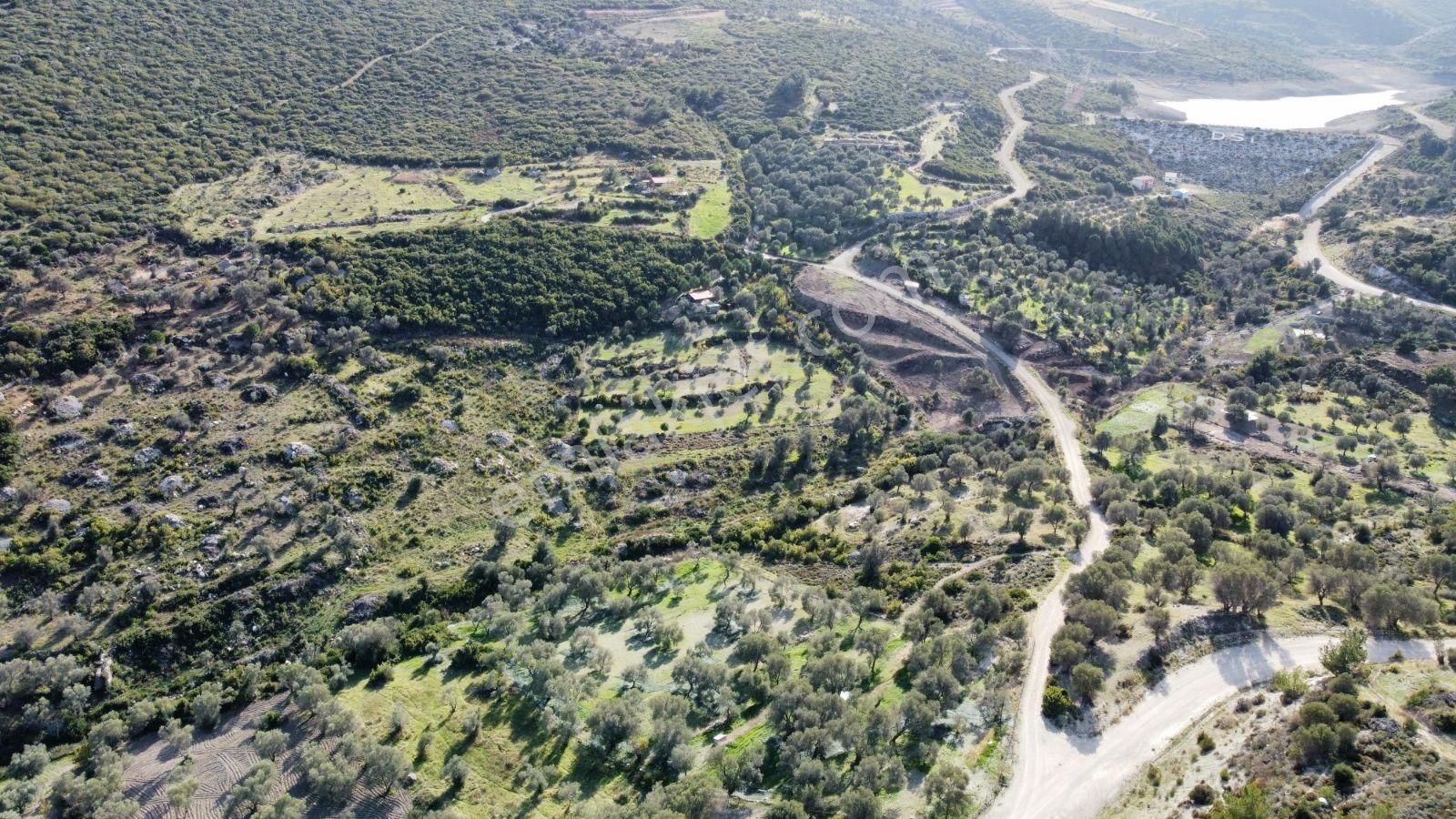 Karaburun Eğlenhoca'da Gölete Yakın 17 Dönüm Satılık Tarla - Görsel 6