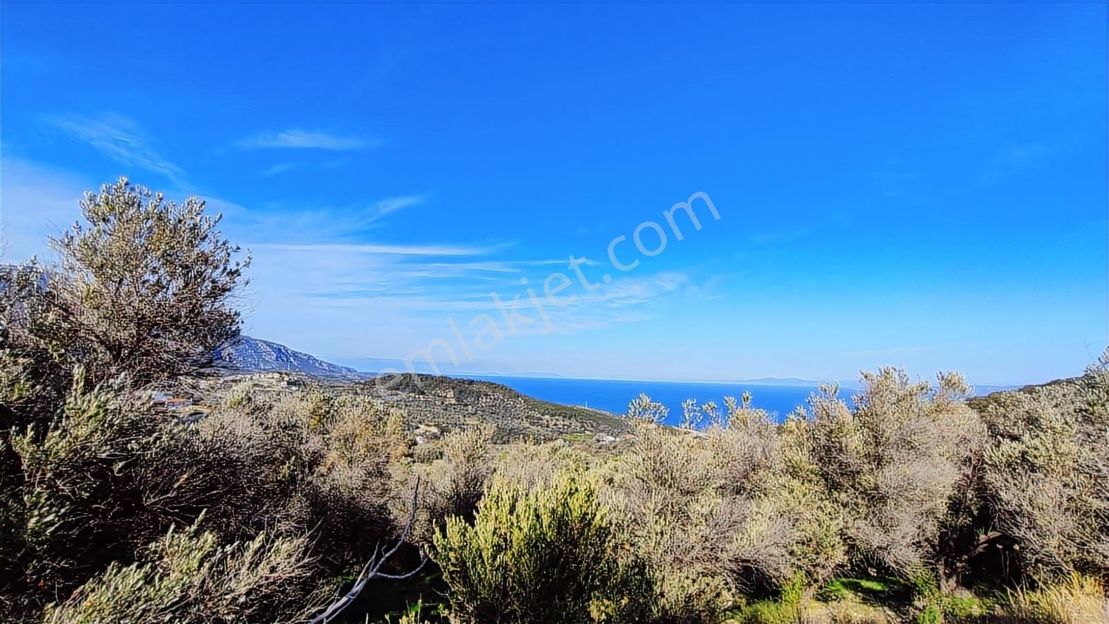Karaburun Eğlenhoca Da Tamamı Deniz Manzaralı Arsa - Görsel 21
