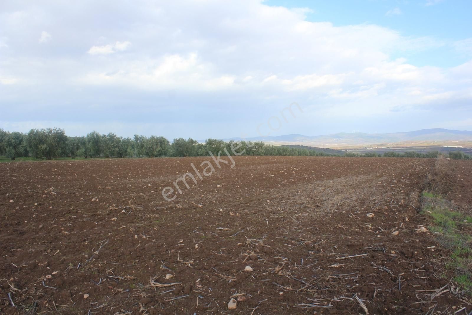 Bursa Karacabey Danişment Asfalt Yola 50 Metre Mesafede Tarla - Görsel 22