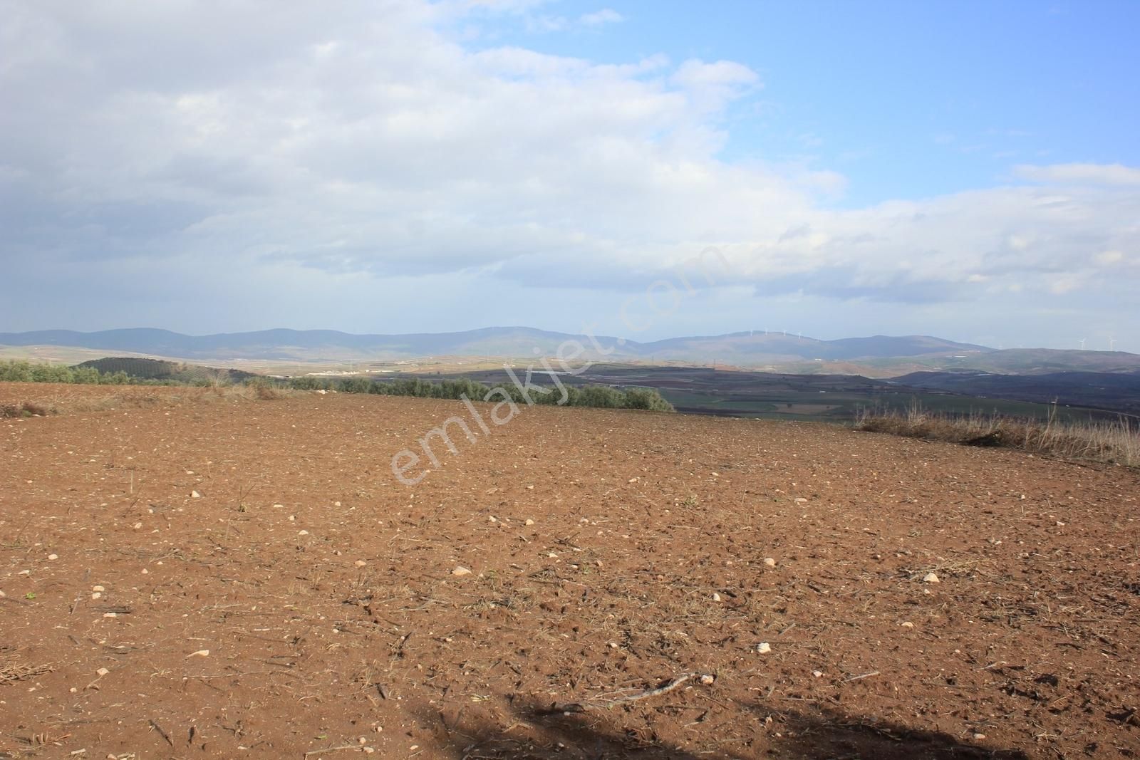 Bursa Karacabey Danişment Asfalt Yola 50 Metre Mesafede Tarla - Görsel 13