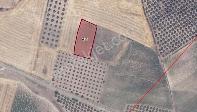 Bursa Karacabey Danişment Asfalt Yola 50 Metre Mesafede Tarla - Görsel 17