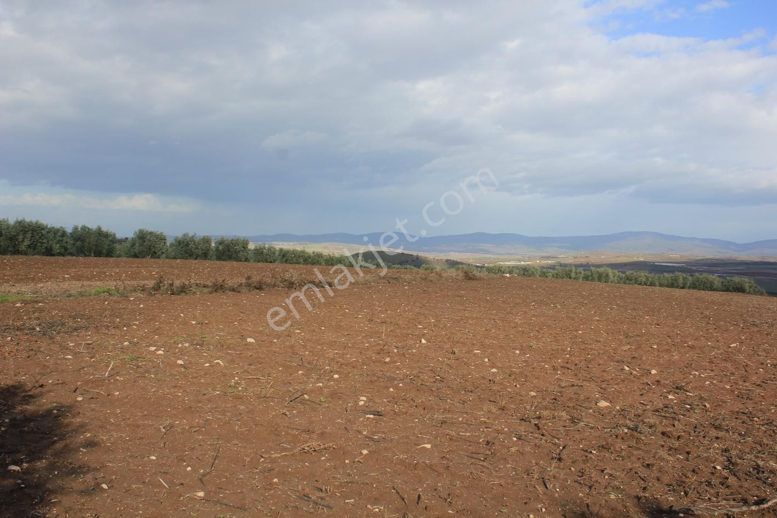 Bursa Karacabey Danişment Asfalt Yola 50 Metre Mesafede Tarla - Görsel 20