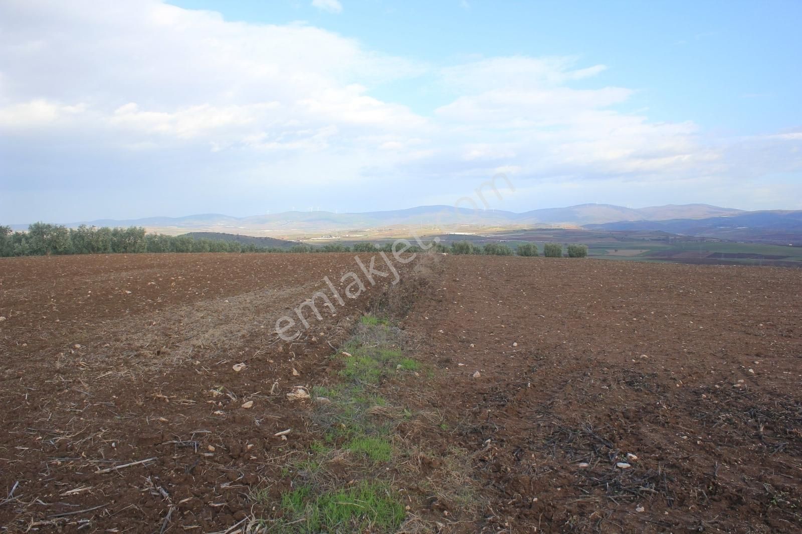 Bursa Karacabey Danişment Asfalt Yola 50 Metre Mesafede Tarla - Görsel 12