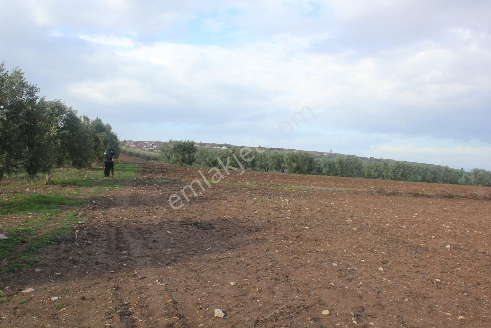 Bursa Karacabey Danişment Asfalt Yola 50 Metre Mesafede Tarla - Görsel 18