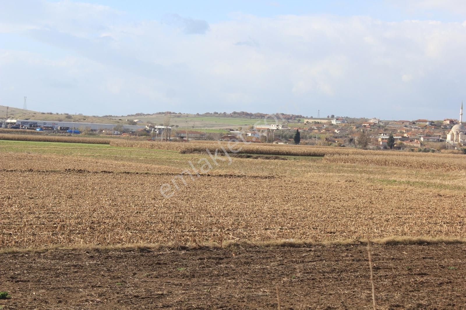 Bursa Karacabey Tophisar 6750 M2 Tarla - Görsel 4